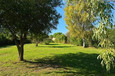 Terrain  387500 €