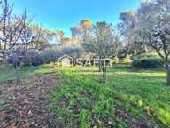 Pignans - Maison de plain-pied 28 m² sur un terrain de 2,5 ha, garage, annexes — photo 2