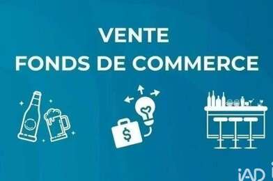 Commerce  54000 €