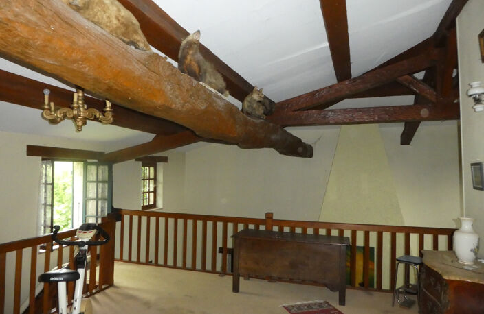  MAISON EN PIERRE AVEC 3 HA DE TERRAIN — photo 3