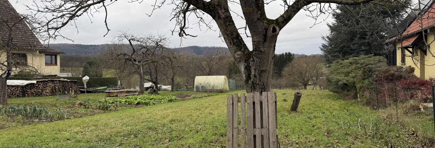 Terrain  1323 m² à vendre à Steinbourg (67790)