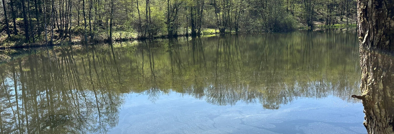 Terrain  8358 m² à vendre à Servance-Miellin (70440)