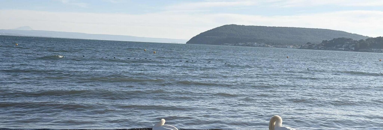 Maison 3 Pièces 48 m² à vendre à Istres (13800)