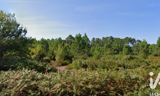 Terrain  15674 m² à vendre à Sainte-Eulalie-en-Born (40200)