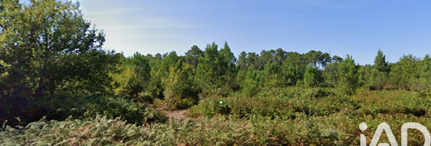 Terrain  15674 m² à vendre à Sainte-Eulalie-en-Born (40200)