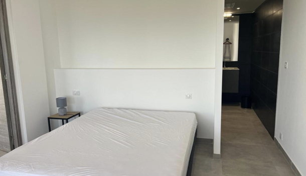 Appartement 2 pièces  à vendre Porticcio 20166