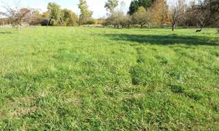Terrain  1100 m² à vendre à Le Controis-en-Sologne (41120)