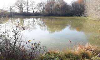 Terrain  5640 m² à vendre à Saint-Romain-sur-Cher (41140)