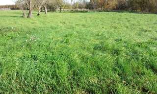Terrain  1100 m² à vendre à Le Controis-en-Sologne (41120)