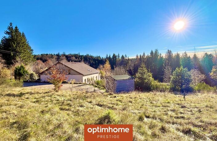 Domaine – 268 m² – 6 chambres et 6 salles de bain – Terrain 8 730 m² – Proche Gérardmer – Champdray — photo 2