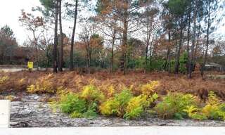 Terrain  817 m² à vendre à Saint-Magne (33125)