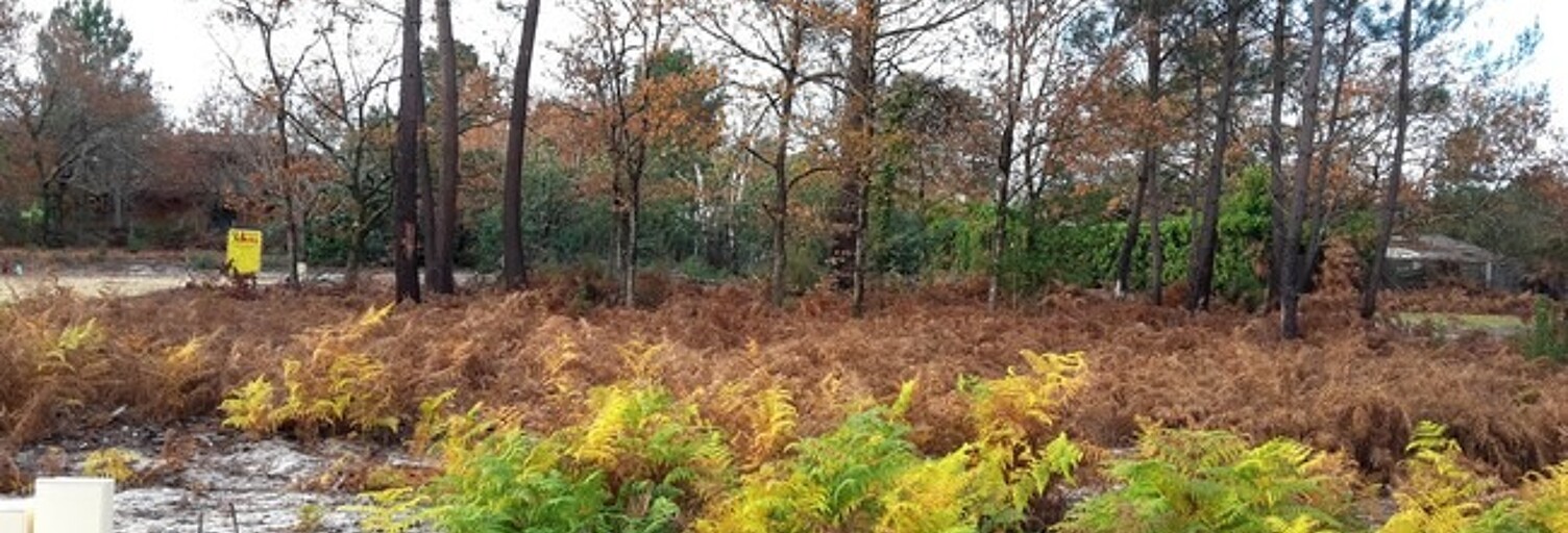 Terrain  817 m² à vendre à Saint-Magne (33125)