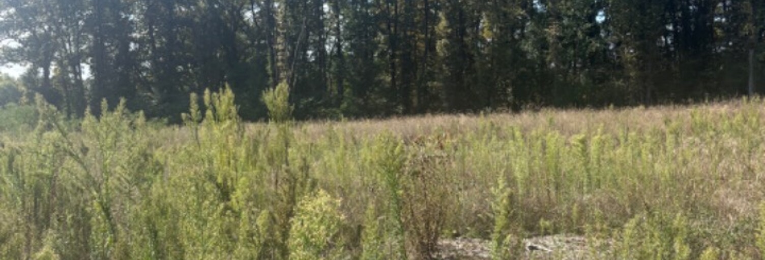 Terrain  850 m² à vendre à Galgon (33133)