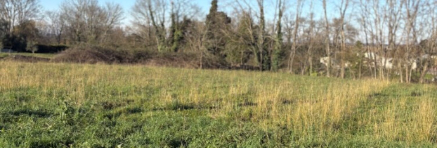 Terrain  1000 m² à vendre à Branne (33420)