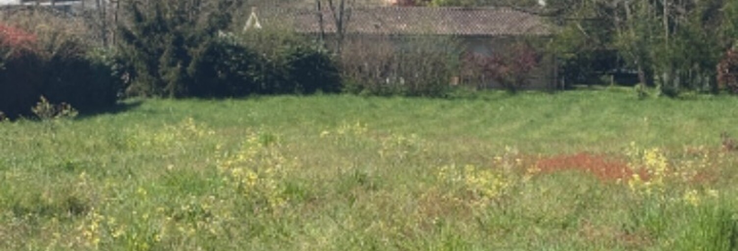 Terrain  800 m² à vendre à Asques (33240)