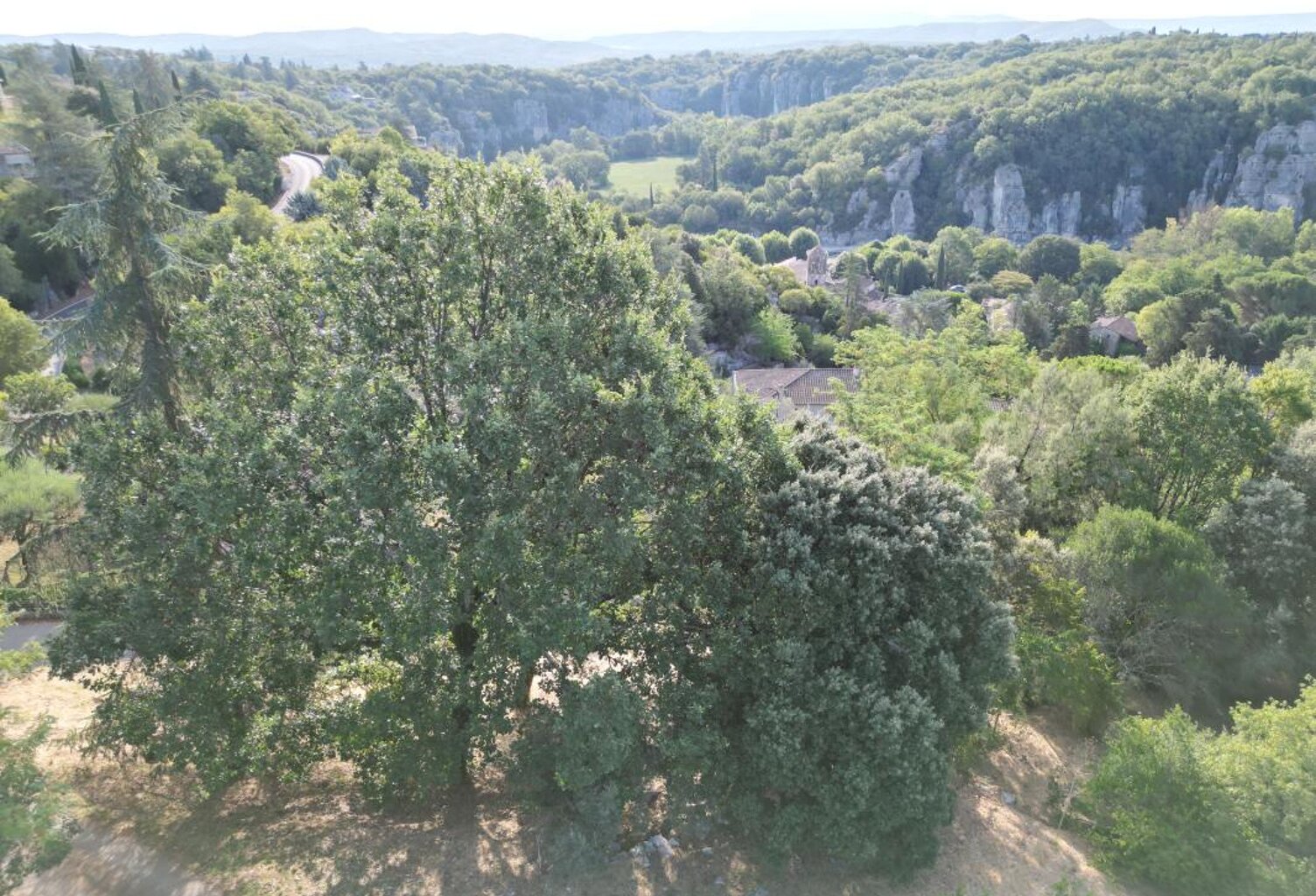 Terrain  constructible à vendre de 2 488 m² — photo 1