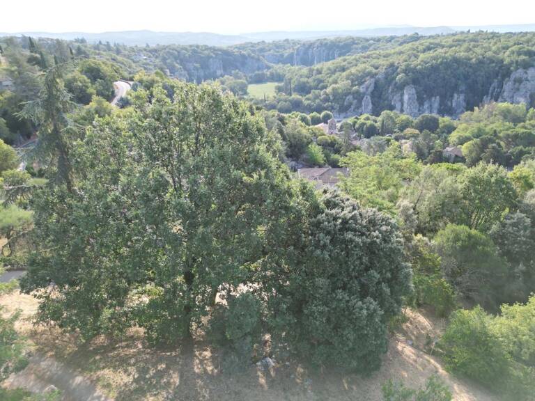 Terrain  constructible à vendre de 2 488 m² — photo 1