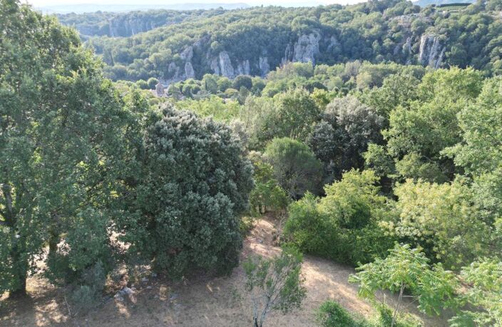 Terrain  constructible à vendre de 2 488 m² — photo 3
