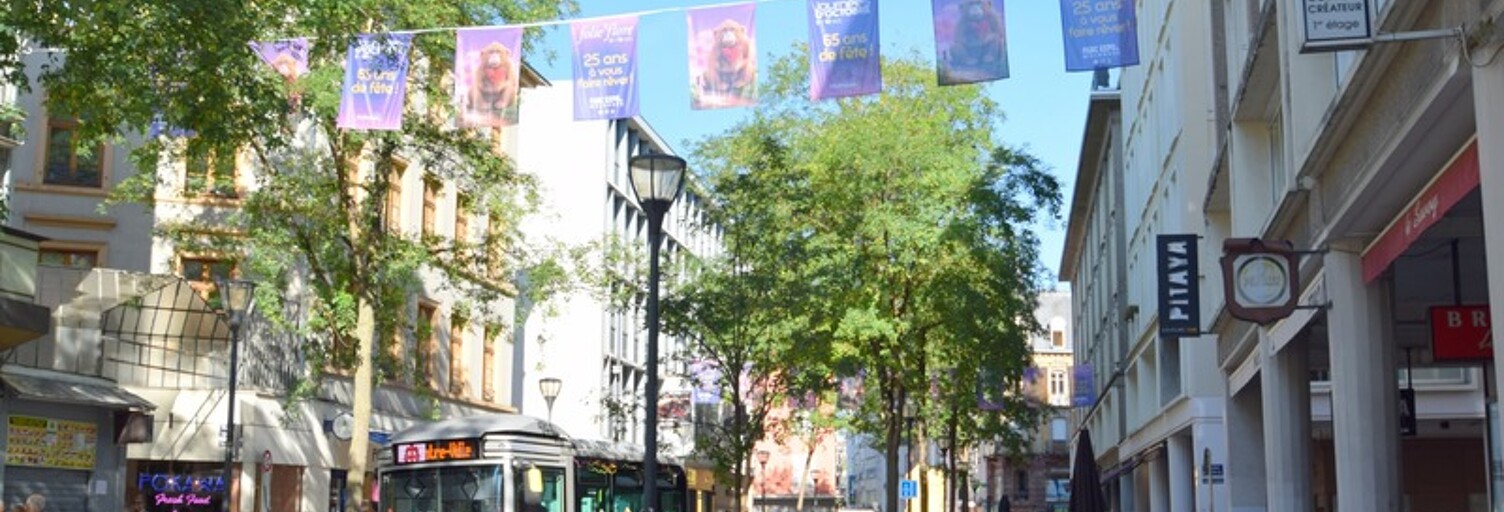 Appartement 5 Pièces 102 m² à vendre à Mulhouse (68100)