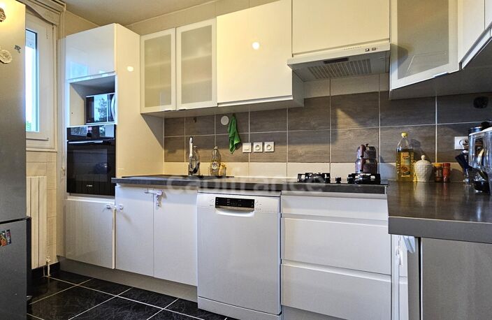 Maison à vendre 3/4 pièces SERMAISES (45) — photo 4