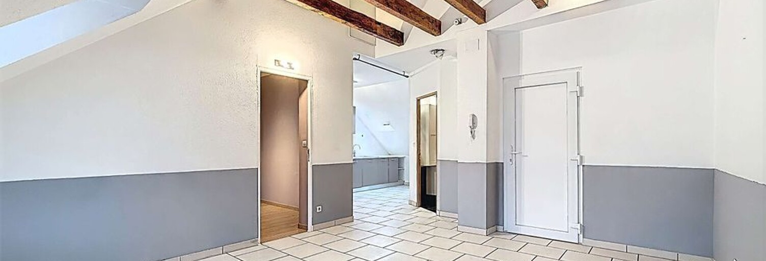 Appartement 2 Pièces 45 m² à louer à Mulhouse (68100)