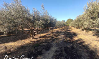 Terrain  3300 m² à vendre à Pouzolles (34480)