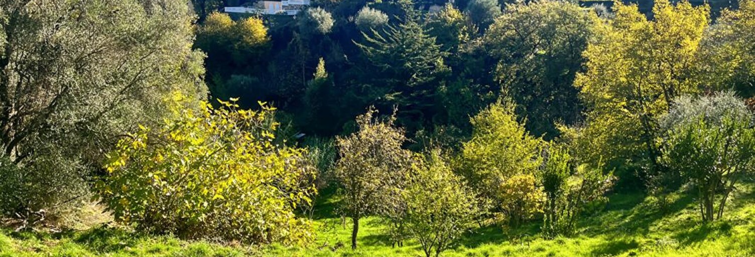 Terrain  1911 m² à vendre à Falicon (06950)