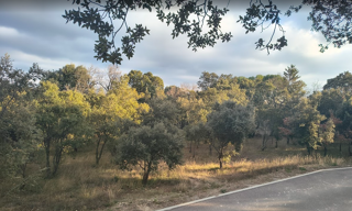 Terrain 2002 m² à construire Saint-Restitut (26130)