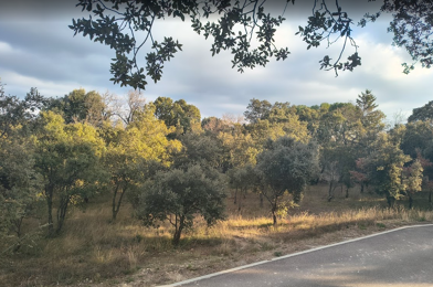 Terrain  195000 €