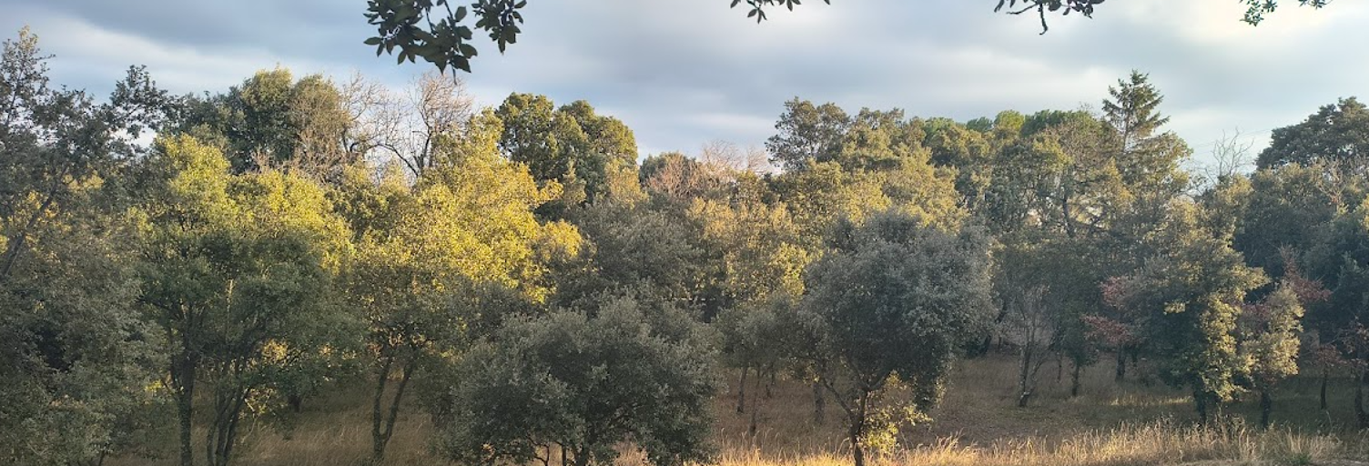 Terrain 2002 m² à construire Saint-Restitut (26130)