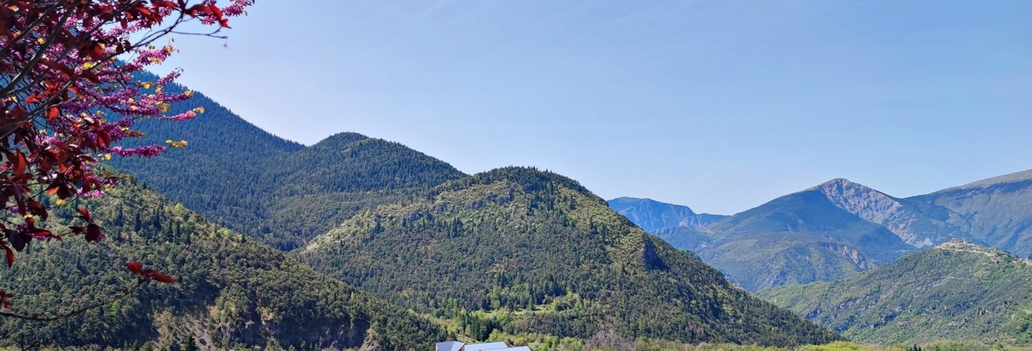 Commerce 3 Pièces 53 m² à vendre à Valdeblore (06420)