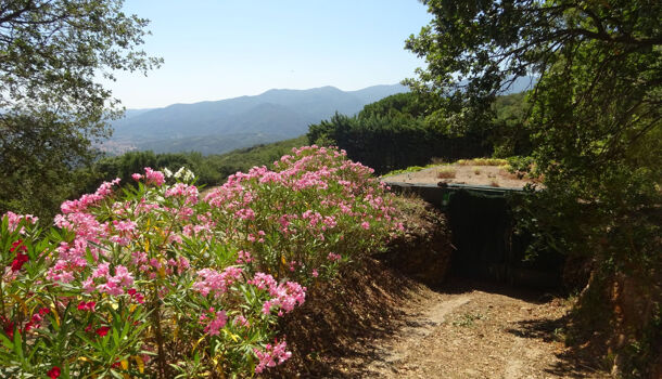 Villa / Maison 7 pièces  à vendre Céret 66400