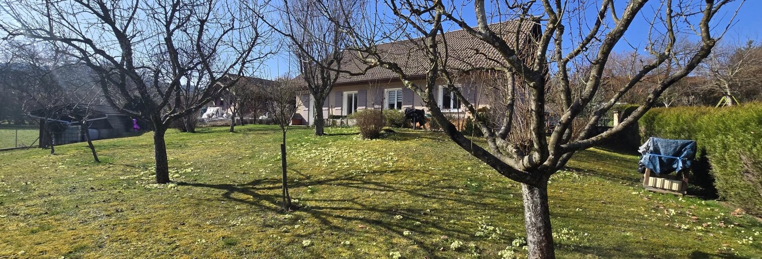 Maison 4 Pièces 90 m² à vendre à Peillonnex (74250)