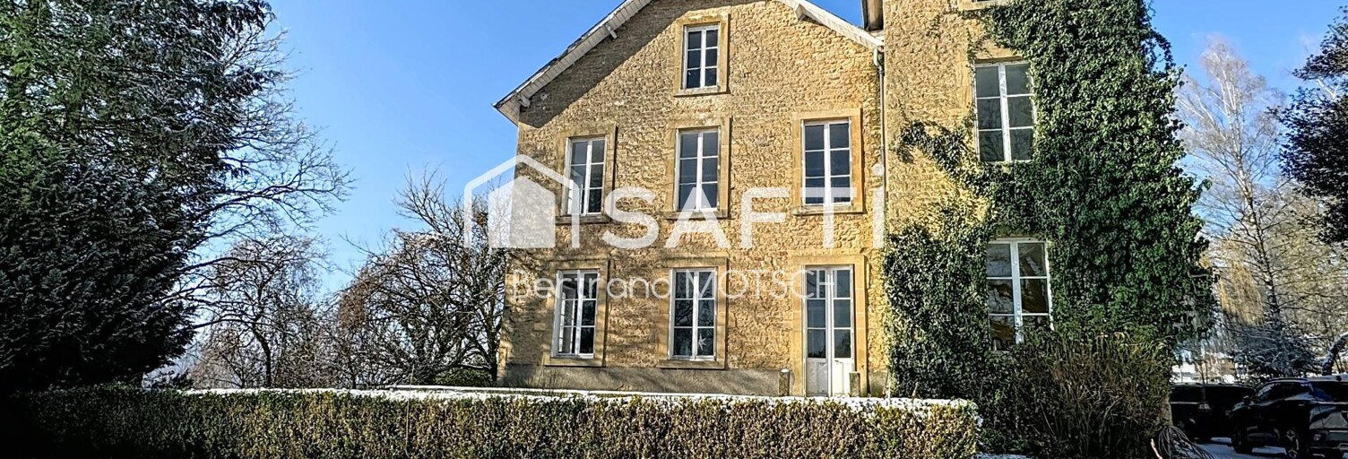 Maison 20 Pièces 450 m² à vendre à Épiez-sur-Chiers (54260)