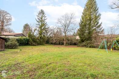 Terrain  250000 €