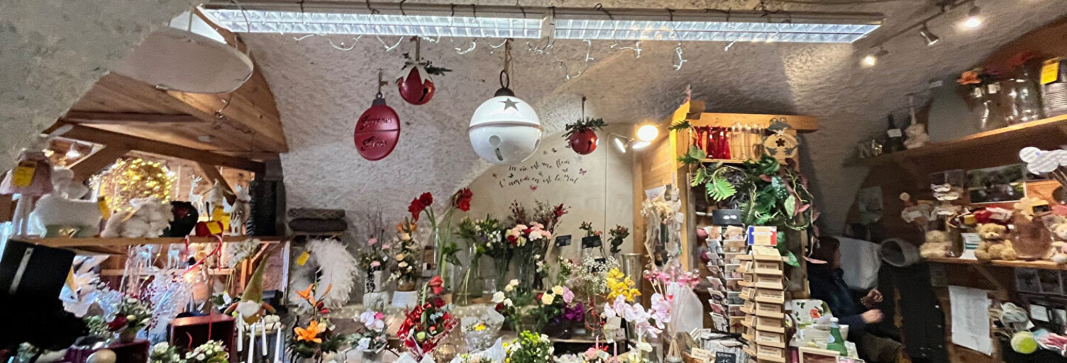 Commerce 3 Pièces 50 m² à vendre à Guillestre (05600)