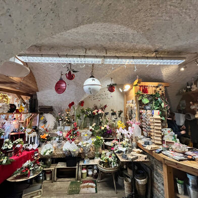 Commerce 3 pièces 99000 €