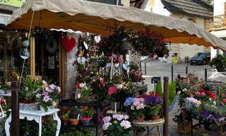 Commerce 3 Pièces 50 m² à vendre à Guillestre (05600)