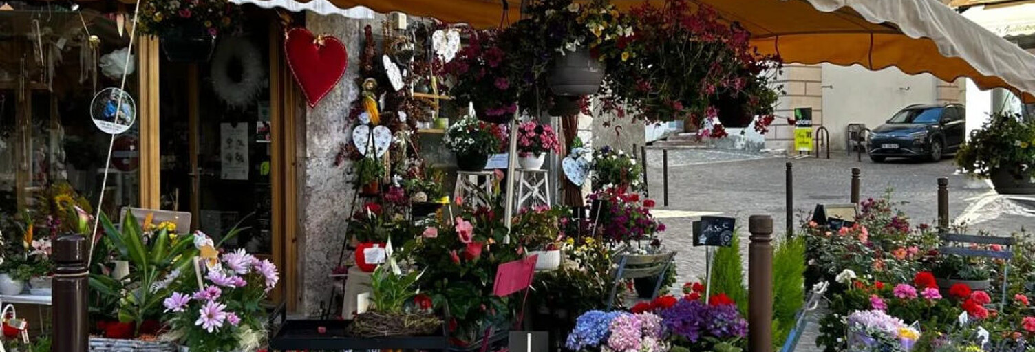 Commerce 3 Pièces 50 m² à vendre à Guillestre (05600)