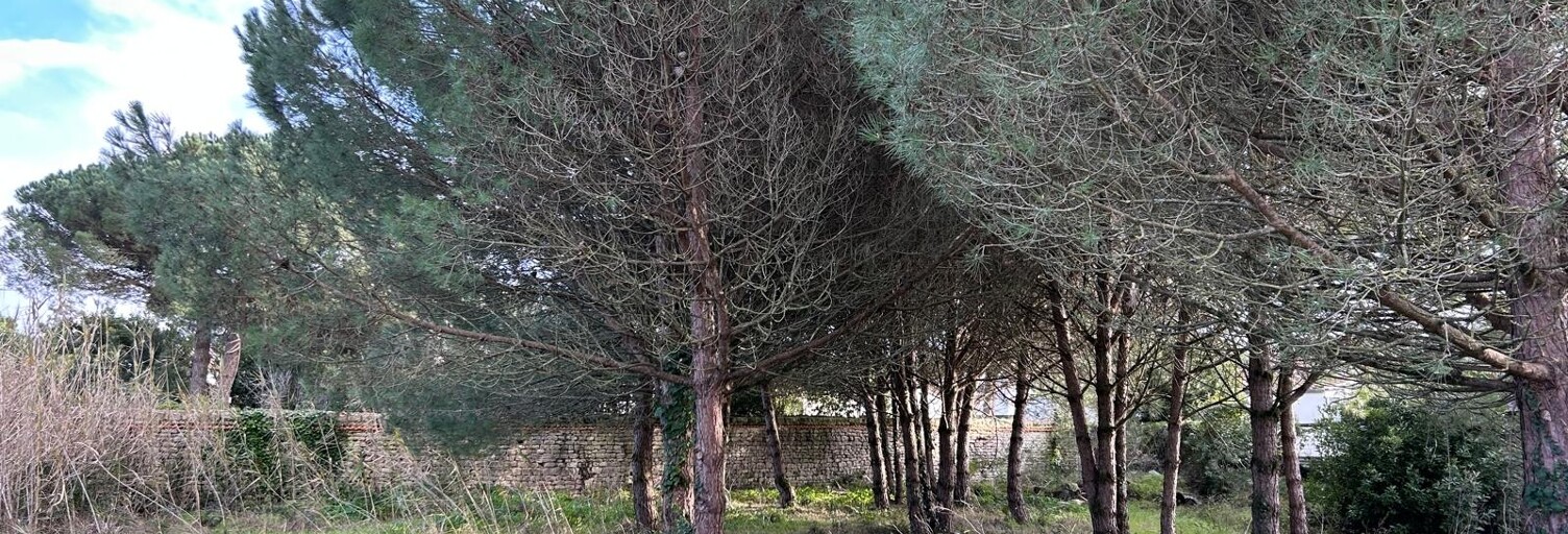 Terrain  570 m² à vendre à La Flotte (17630)