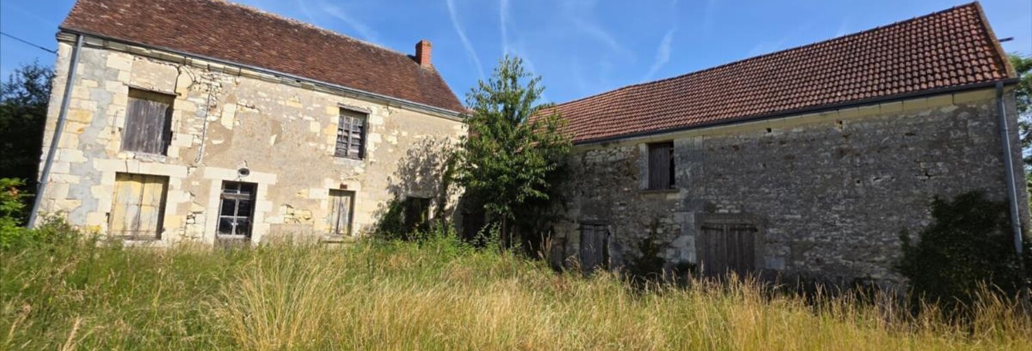 Maison 9 Pièces 310 m² à vendre à Luçay-le-Mâle (36360)