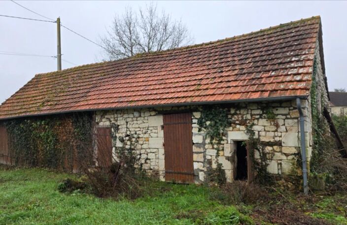 Vente maison 9 pièces 310 m² Luçay-le-Mâle (36360) — photo 4