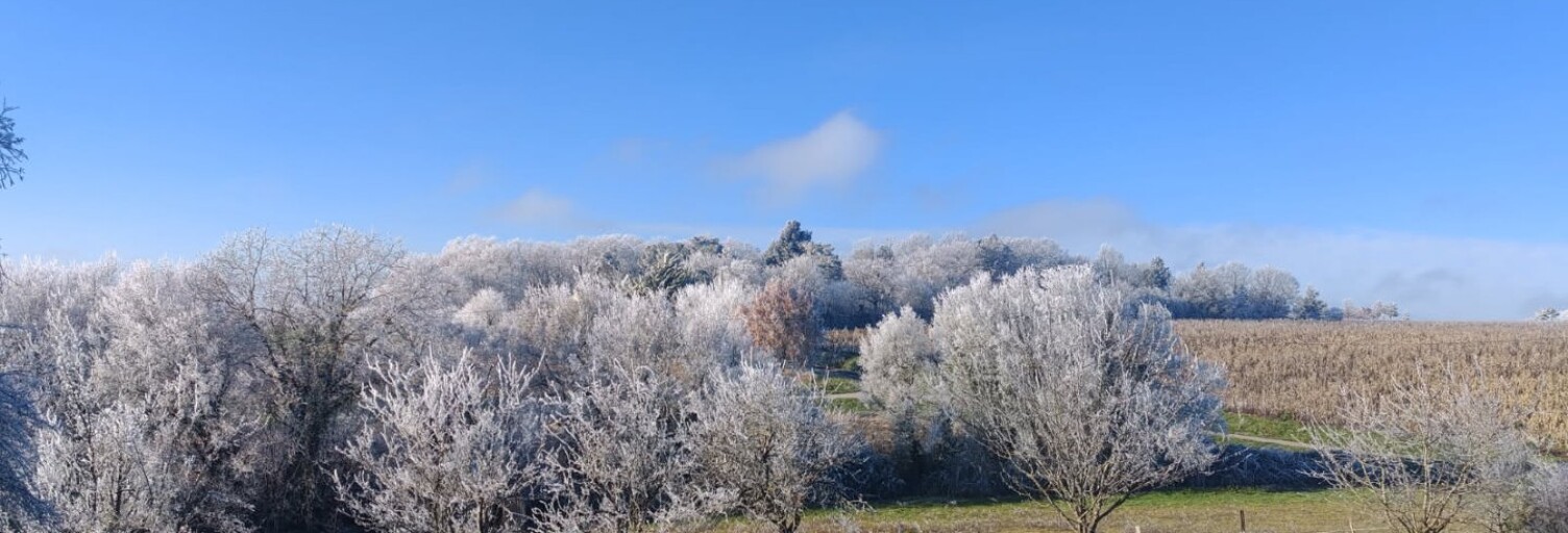 Maison 5 Pièces 128 m² à vendre à Bossay-sur-Claise (37290)