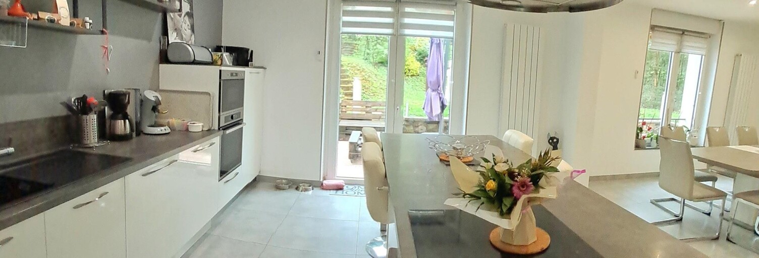 Maison 7 Pièces 163 m² à vendre à Villerupt (54190)