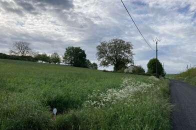 Terrain  49000 €