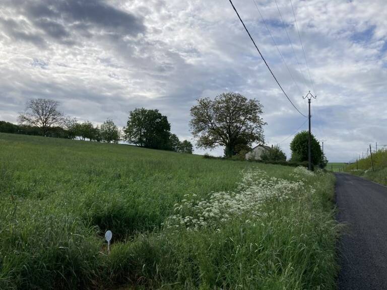 Terrain à construire  830 m²  — photo 1