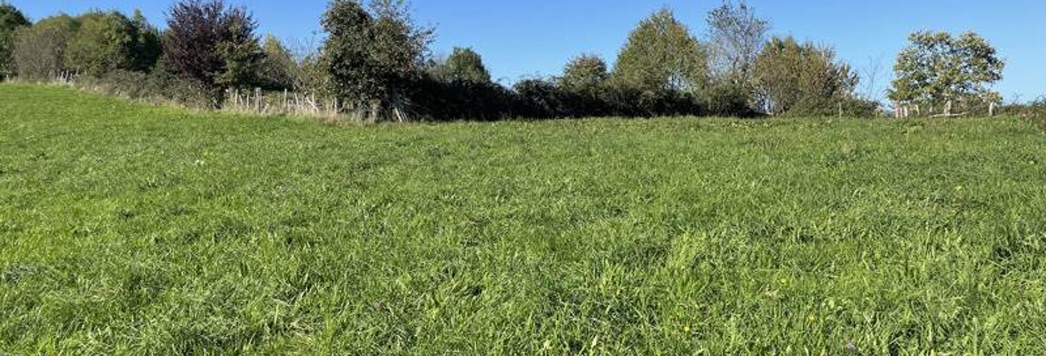 Terrain  1200 m² à vendre à Beynat (19190)