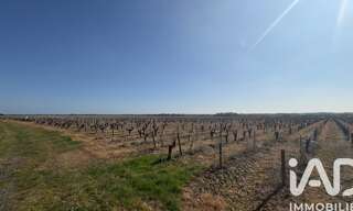 Maison 7 Pièces 679 m² à vendre à Monnières (44690)