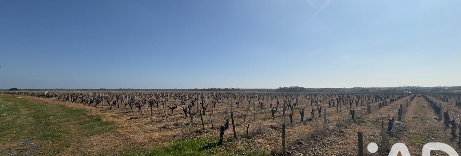 Maison 7 Pièces 679 m² à vendre à Monnières (44690)