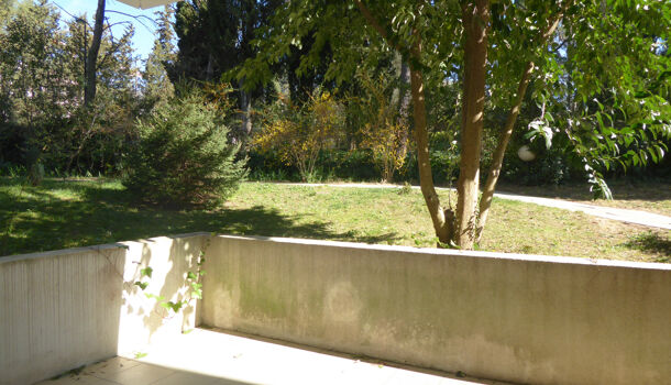 Appartement 1 pièces  à louer Montpellier 34000